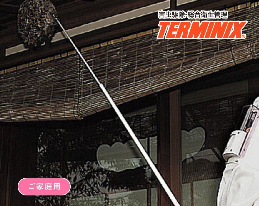 ハチ駆除サービス