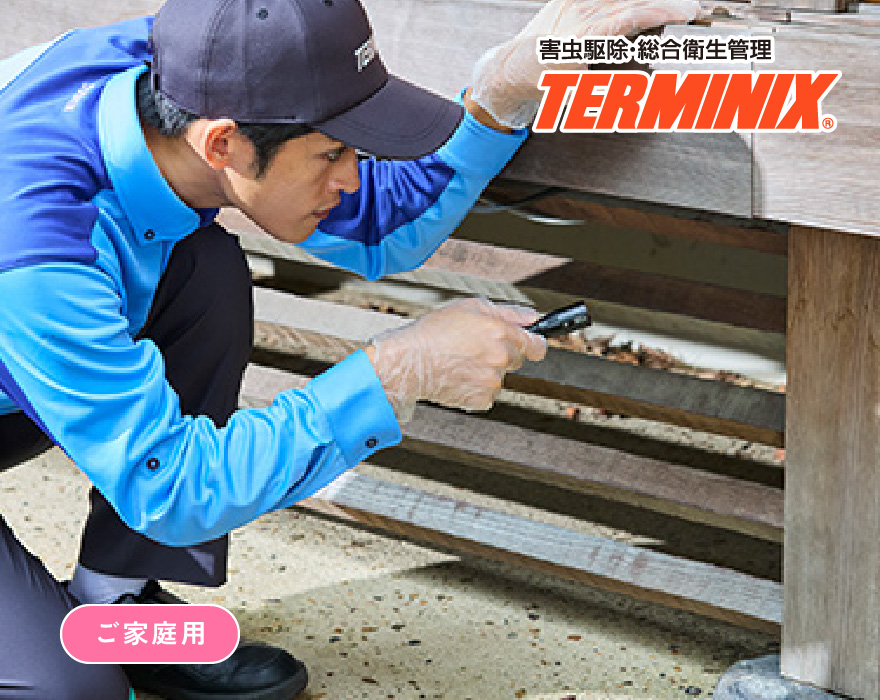 シロアリ駆除サービス
