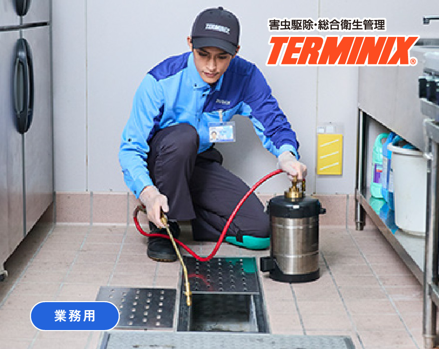 チョウバエ駆除サービス