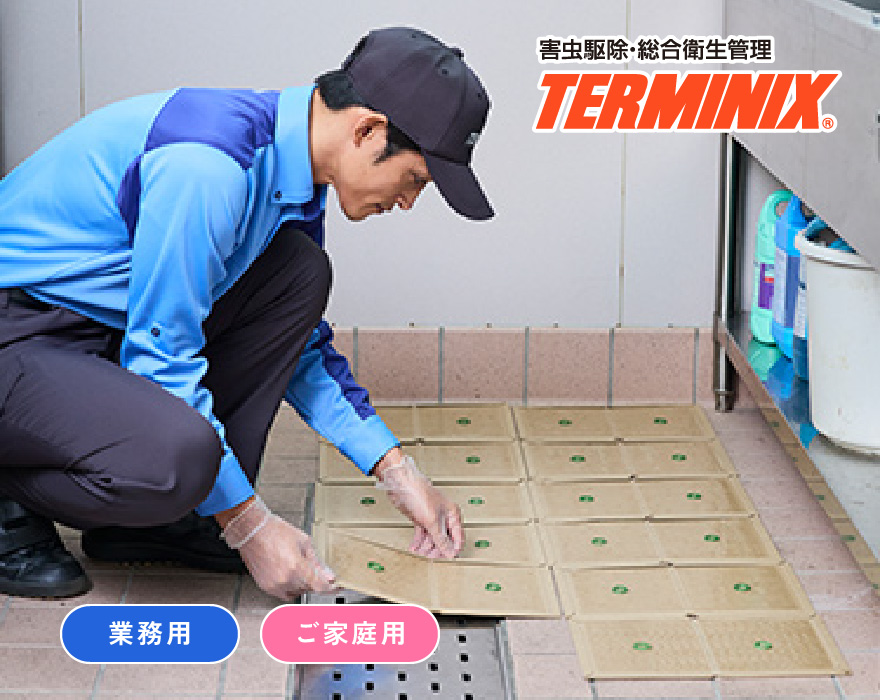 ネズミ駆除サービス