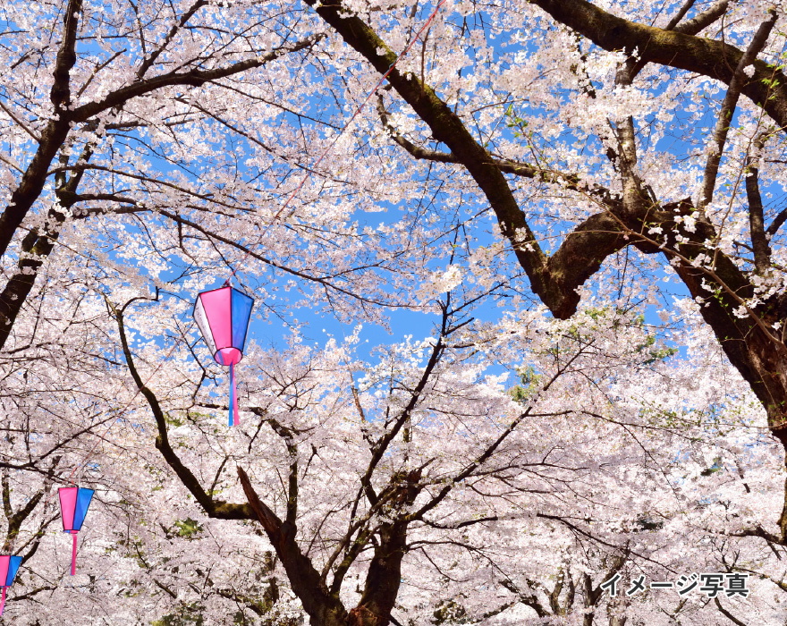 季節ごとの行事